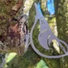 rustic metal nuthatch garden ornament UK